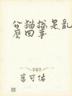 公猫总是乱尿怎么回事