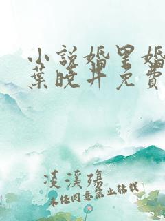 小说婚里婚外 叶晓井免费阅读