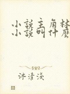 小说主角林辰的小说叫什么