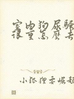 室内狗尿骚臭味很重怎么去除