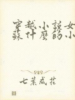 穿越小说女主叫苏什么的小说