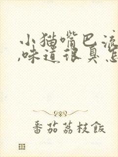 小猫嘴巴流口水,味道很臭怎么回事