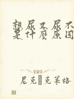 想尿又尿不出来是什么原因