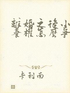 离婚之后小孩抚养权怎么争取