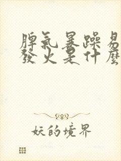 脾气暴躁易怒爱发火是什么原因