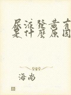 尿液发黄有点红是什么原因