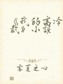 《我的高冷女总裁》小说