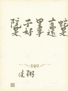 院子里有蛇出现是好事还是坏事