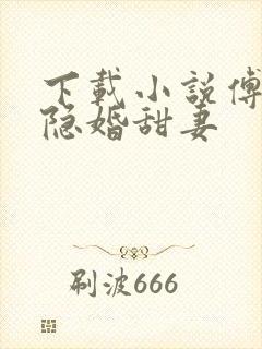 下载小说傅少的隐婚甜妻