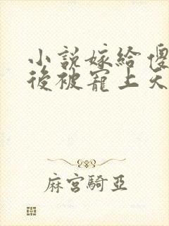 小说嫁给傻王爷后被宠上天