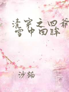 清穿之四爷宠妃 雪中回眸