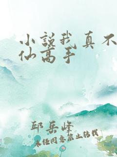 小说我真不是修仙高手