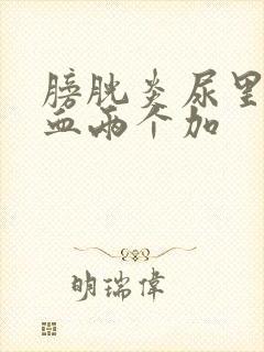 膀胱炎尿里有隐血两个加