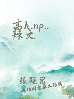 高h.np..辣文