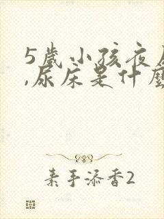 5岁小孩夜尿多,尿床是什么原因