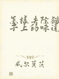 怎样去除猫尿被子上的味道