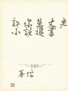 许你万丈光芒好小说追书