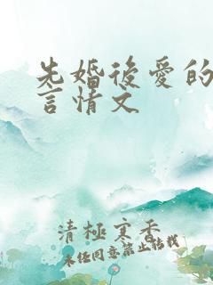 先婚后爱的都市言情文