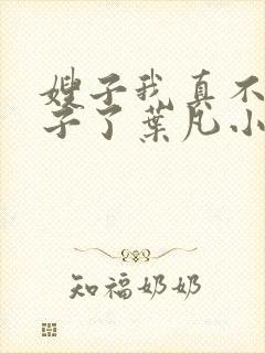 嫂子我真不是傻子了叶凡小说在那里更新