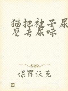 猫把被子尿了怎么去尿味