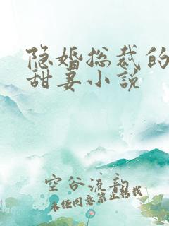 隐婚总裁的绯闻甜妻小说