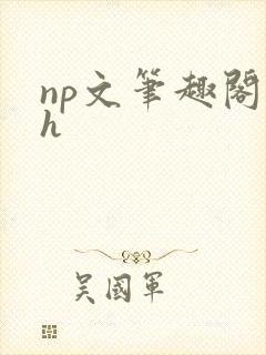 np文笔趣阁高h