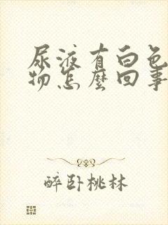 尿液有白色絮状物怎么回事