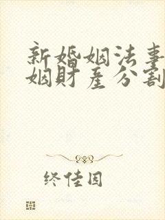 新婚姻法事实婚姻财产分割