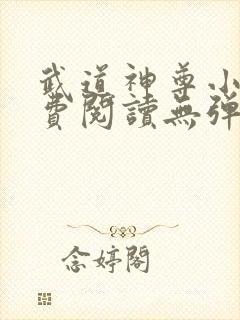 武道神尊小说免费阅读无弹窗