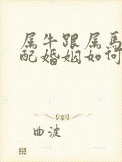 属牛跟属马的相配婚姻如何