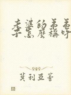 老婆的弟弟的儿子怎么称呼