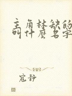 主角林缺的小说叫什么名字