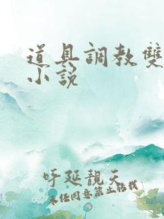 道具调教双性人小说