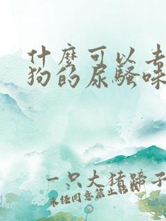 什么可以去除狗狗的尿骚味