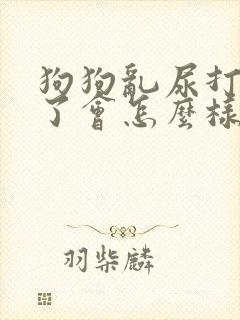 狗狗乱尿打的狠了会怎么样