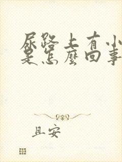 尿路上有小颗粒是怎么回事