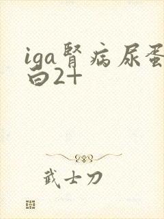 iga肾病尿蛋白2+