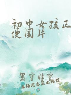 初中女孩正面小便图片