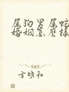 属狗男属蛇女的婚姻怎么样