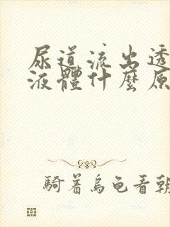 尿道流出透明的液体什么原因