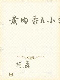 黄肉番h小说