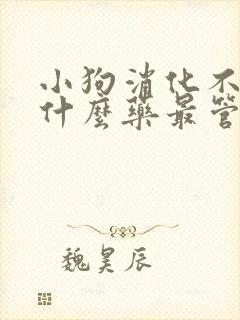 小狗消化不好吃什么药最管用