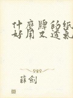 什么牌的纸尿裤好用又透气