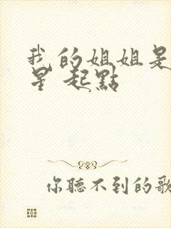 我的姐姐是大明星 起点