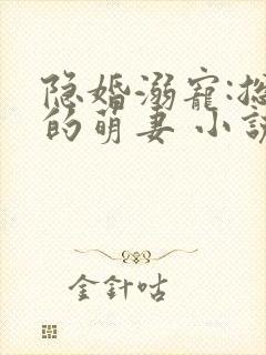 隐婚溺宠:总裁的萌妻 小说