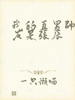 我的直男帅哥室友是张辰