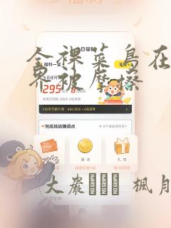 全裸菜鸟在异世界被摩擦