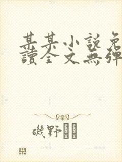 某某小说免费阅读全文无弹窗