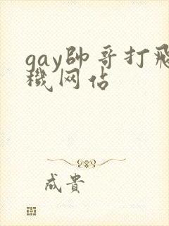 gay帅哥打飞机网站