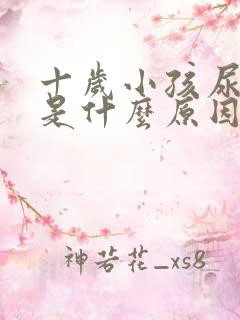 十岁小孩尿裤子是什么原因造成的